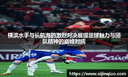 芒果体育官网入口