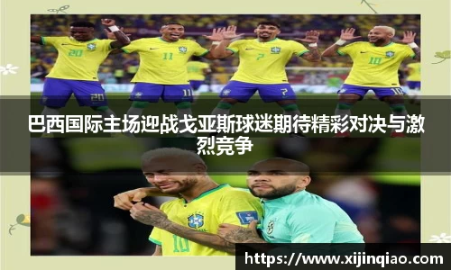 芒果体育官网入口