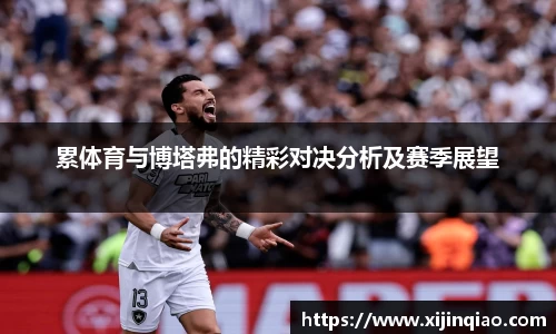 芒果体育官网入口