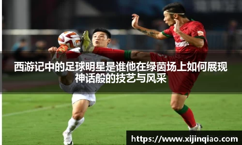 芒果体育官网入口