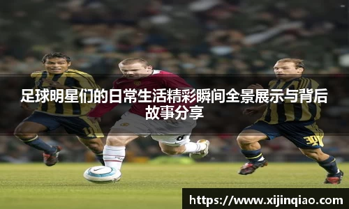 芒果体育官网入口